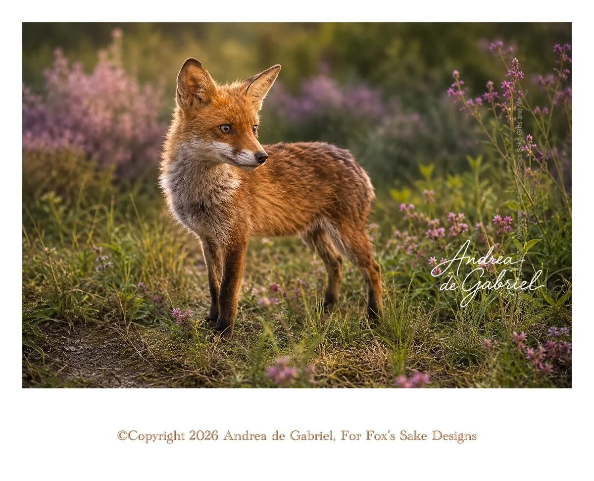 For Fox's Sake Blog | Fox Stories, Art Inspiration & Creative